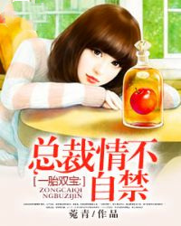 一胎双宝抢个总裁做爹地