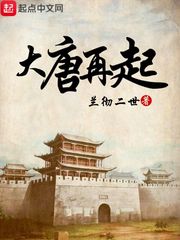 官场沈姓主角