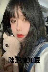 林知夏陆琛后续
