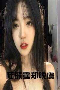 男主叫陆震霆的