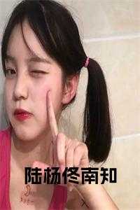 佟南知陆杨全文免费阅读