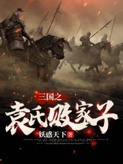 三国袁氏败家子在线阅读