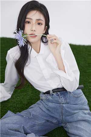 林枫柳如烟文礼