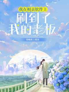 女主名叫叶安安的