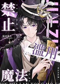 禁止滥用魔法by