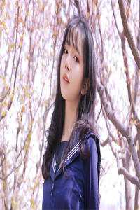 杨宜元个人简历