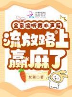 苏米女主