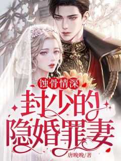封少追妻路太难全文免费阅读时繁星