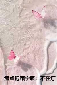 顾宁臣孟卓钰不在灯火阑珊处
