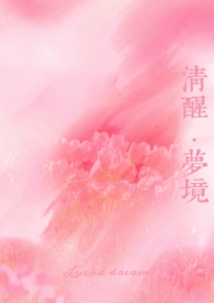 清醒梦境师生h
