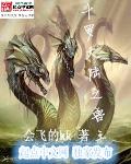 秦风林婉儿txt