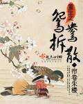 重生之鸳鸳相抱by青衣阑珊