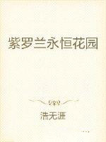 紫罗兰永恒花园免费观看