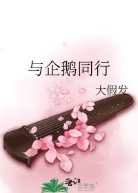 与企鹅同行大假发
