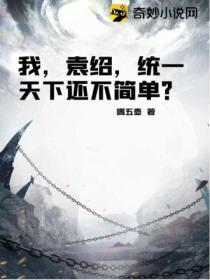 袁绍全统