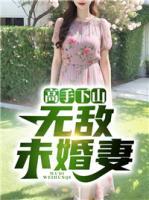 陈宁沈慕青免费阅读