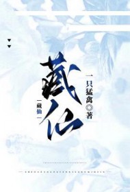 藏仙康养之城在哪里