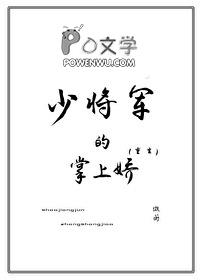 少将军宠妻手札