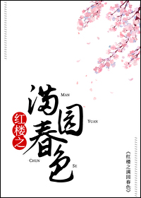 红楼之孕