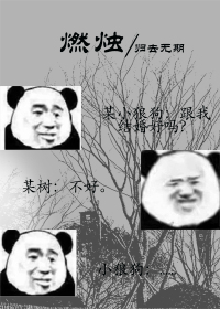 替嫁以后在线阅读
