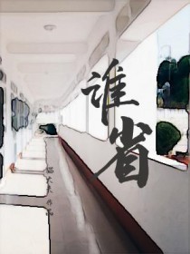 谁省亲大观园
