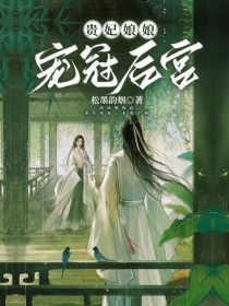 贵妃娘娘宠冠后宫百度