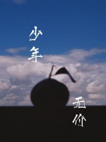 少年无价txt
