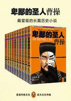 卑鄙的圣人曹操一共多少字