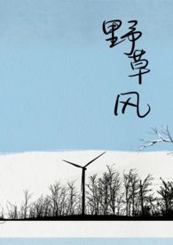 野草风全文免费阅读