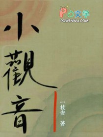 小观音by一枝安剧透