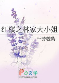 红楼之林家小叔