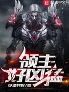 领主类型的奇幻