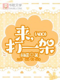 打一架abo