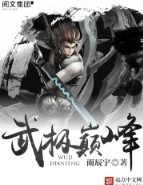 武极巅峰境界