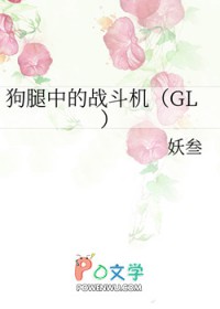 419狗腿中的战斗机GLTXT