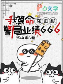 警局业绩666(空山雨)