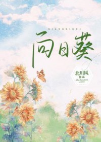 向日葵花束图片