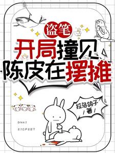 盗墓从老九门开始选择