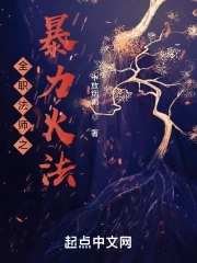 全职法师完整版