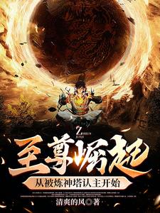 至尊崛起从被炼神塔认主开始 清爽的风