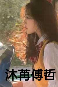 沐苒傅哲 999章