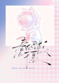 春花潜藏于夏 完结