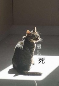 爱到死by玻璃时针