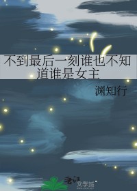 火影动漫同人完结