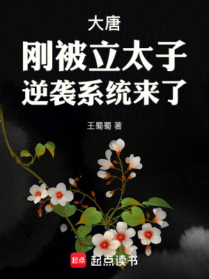大唐刚被立太子逆袭系统来了无防盗