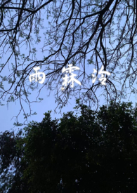 lofter雨霖铃