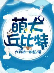 超萌丘比特技能表