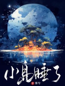 小岛是吗