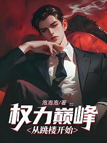 权力巅峰顶点免费阅读全文