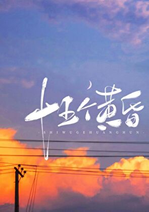 十五个黄昏讲的什么
